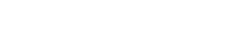 light logo